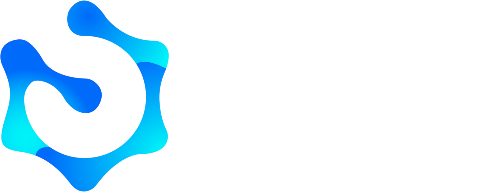 Silicon Web Experts